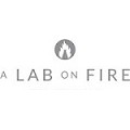 A Lab On Fire