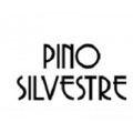 Pino Silvestre