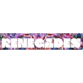 Renegades