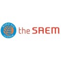 The Saem